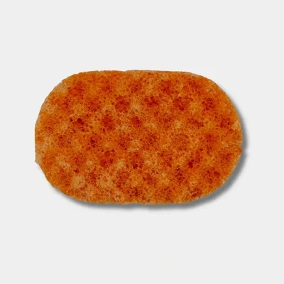 Gingerbread Soap Sponge