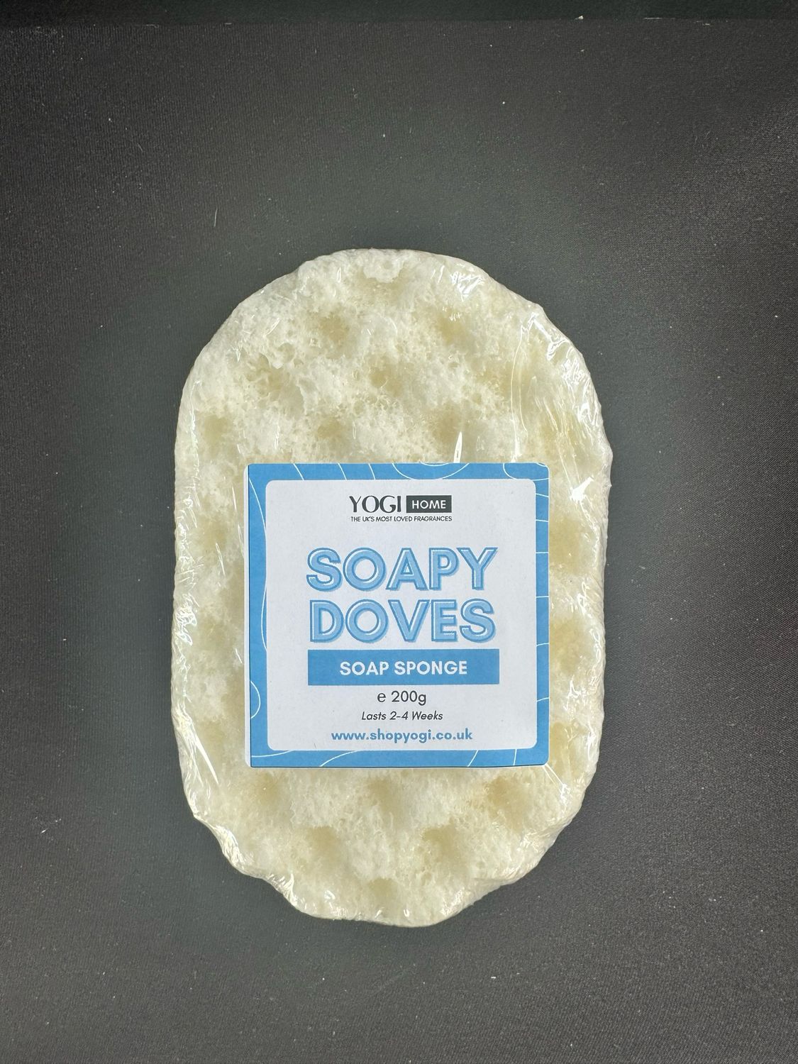 Soapy Dove Soap Sponge