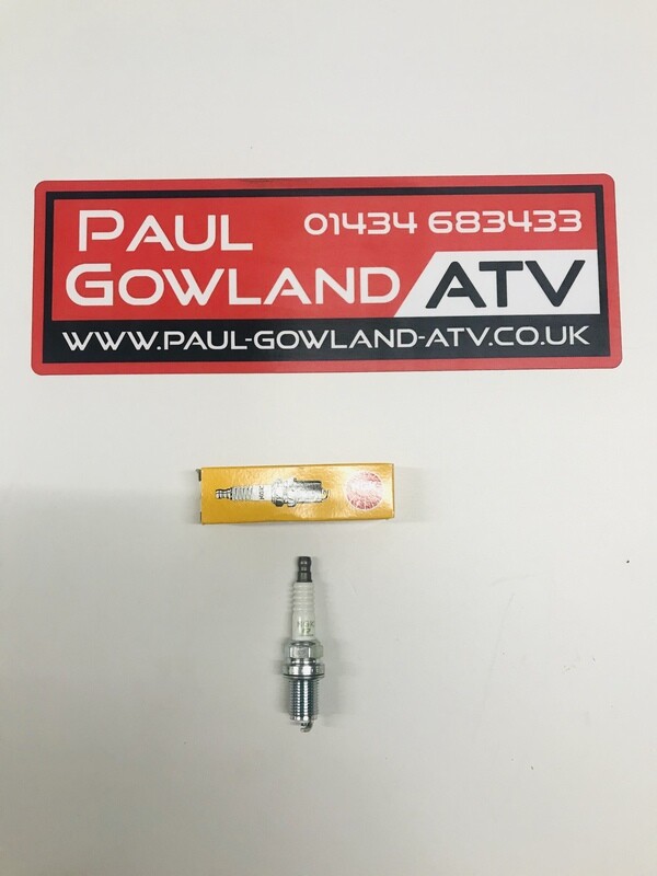NGK Spark Plugs
