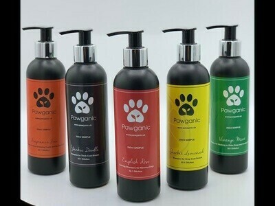 250ml Professional Sample Bottles