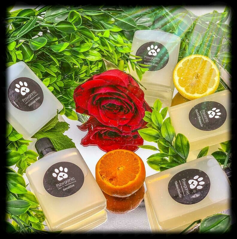 Pawganic Professional 60ml Trial Samples