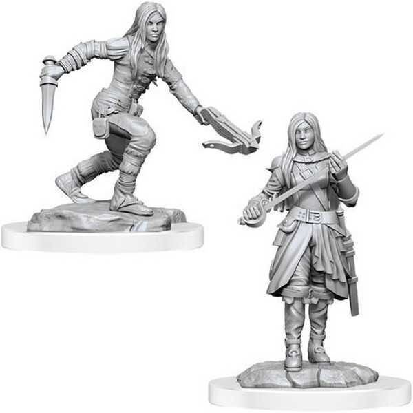 Half-Elf Rogues D&D Nolzur's Marvelous Unpainted Miniatures (W17)