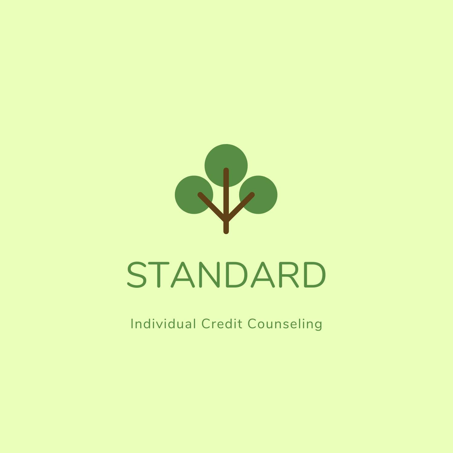 Standard Credit Building, Boosting, &amp; Repair Program