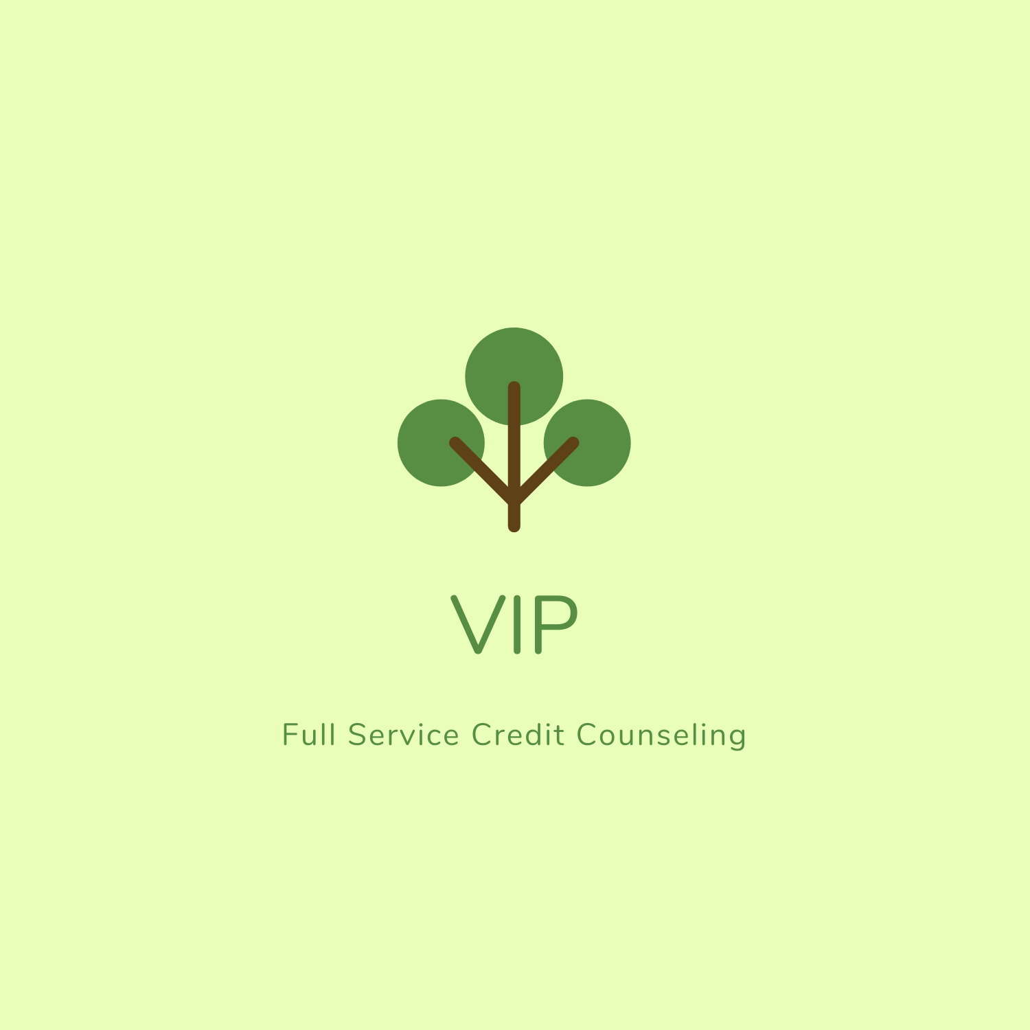 VIP Credit Building, Boosting, &amp; Repair Program