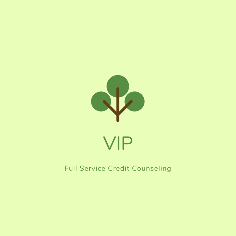 VIP Credit Building, Boosting, &amp; Repair Program