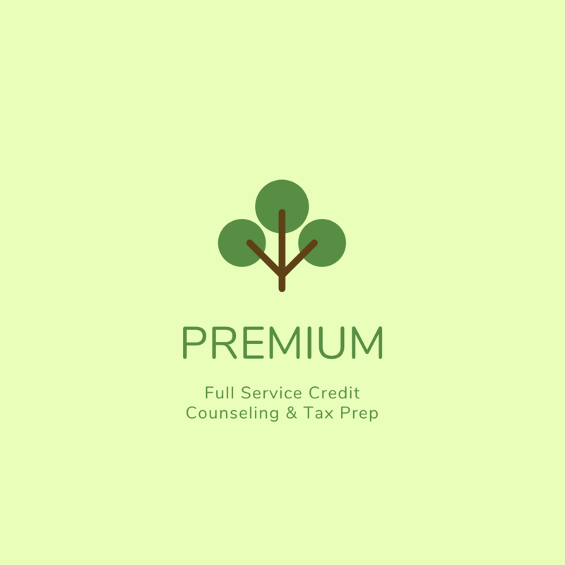 Premium Credit Building, Boosting, &amp; Repair Program