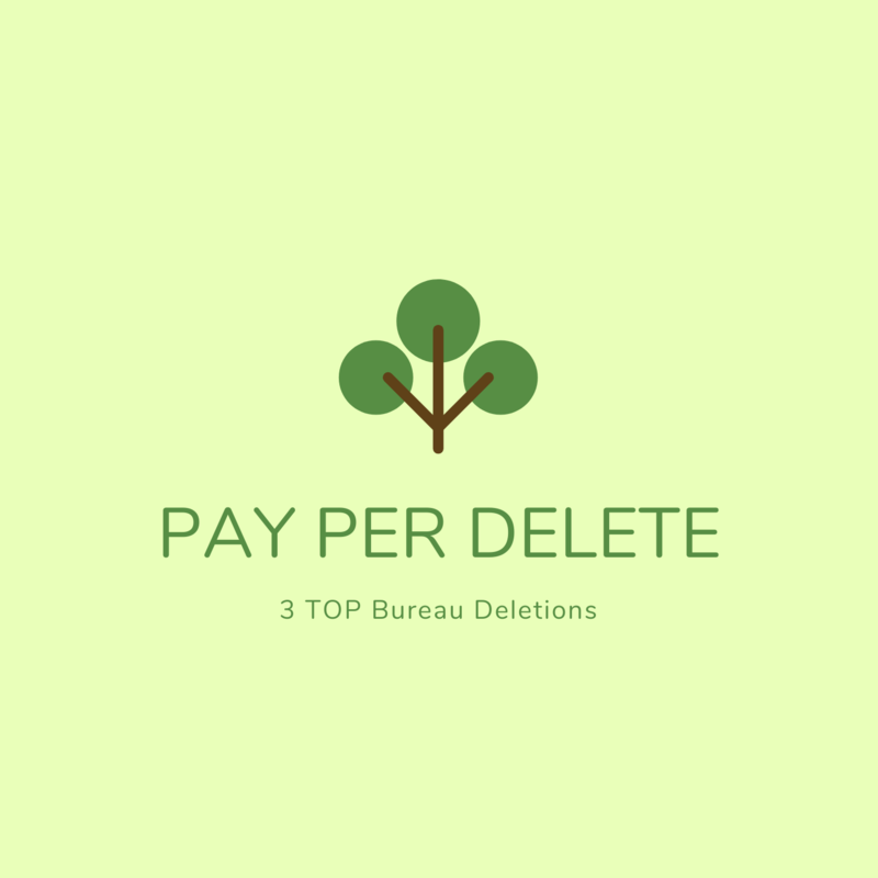 Pay Per Delete Program