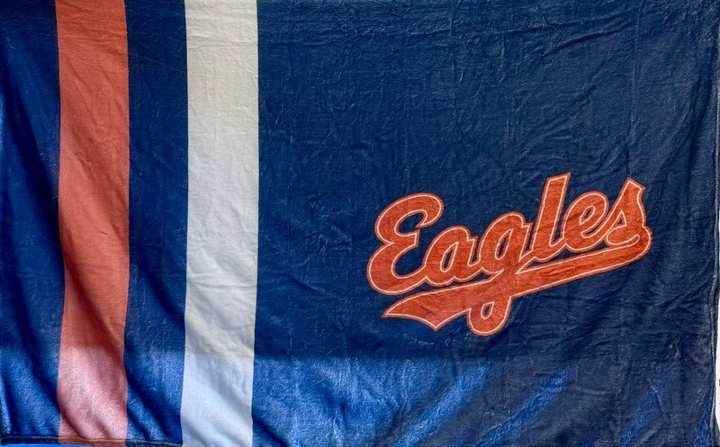 Vintage Navy Blanket