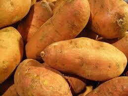 Large Sweet Potatoes