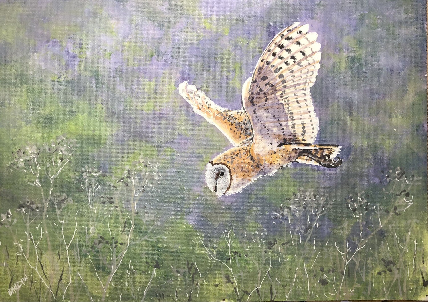 Barn Owl in Flight in Acrylics
