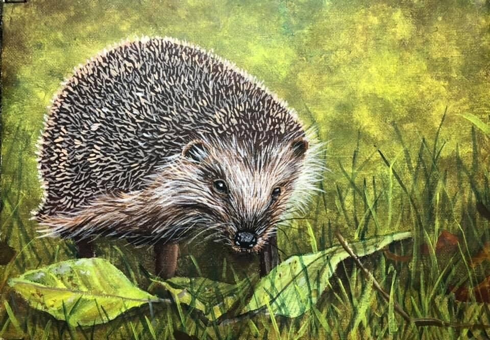 A Hedgehog in Acrylics