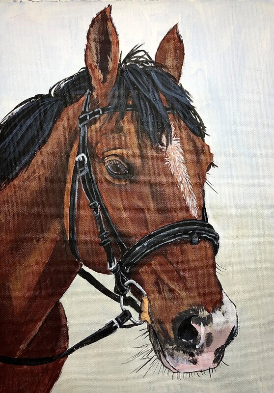 A Horse&#39;s Head in Acrylics