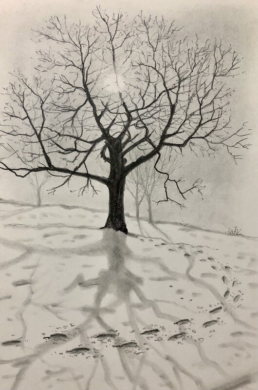 A Tree in the Snow with Long Shadows in Pencil