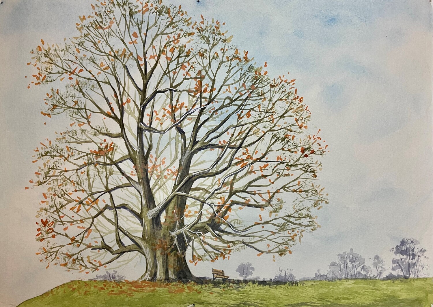 A Big Old Tree with a Bench in Watercolour