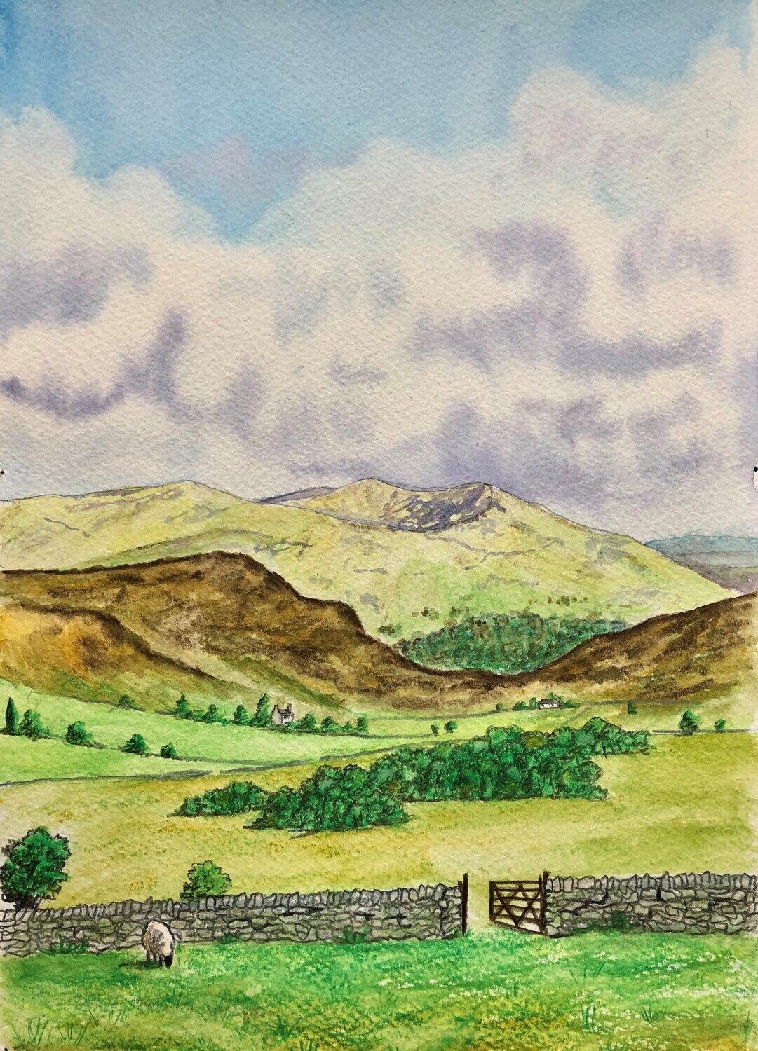Rural Landscape in Watercolour Pencil