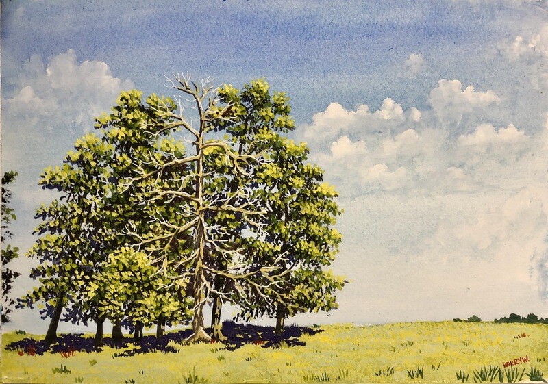 Summer Trees in Gouache