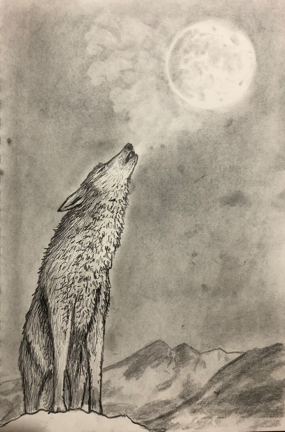 Wolf Howling at the Moon in Pencil