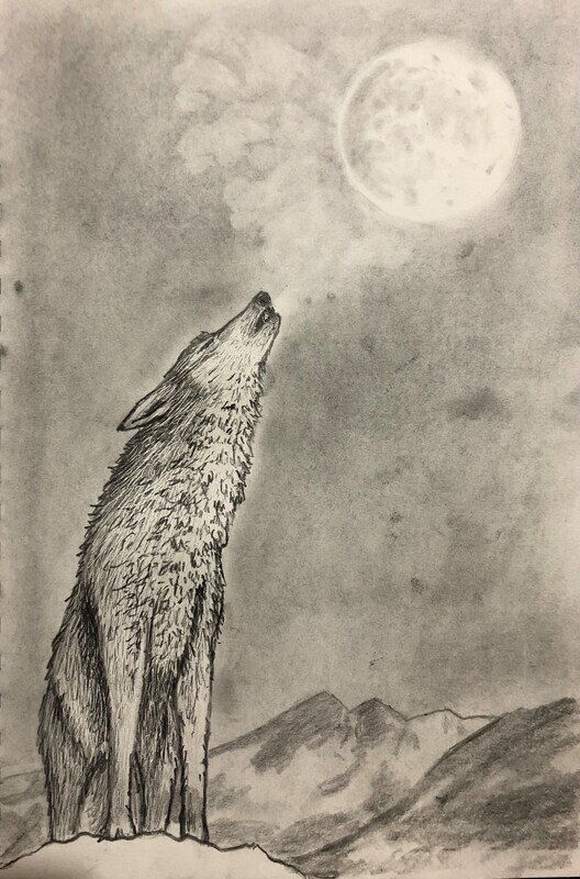Wolf Howling at the Moon in Pencil