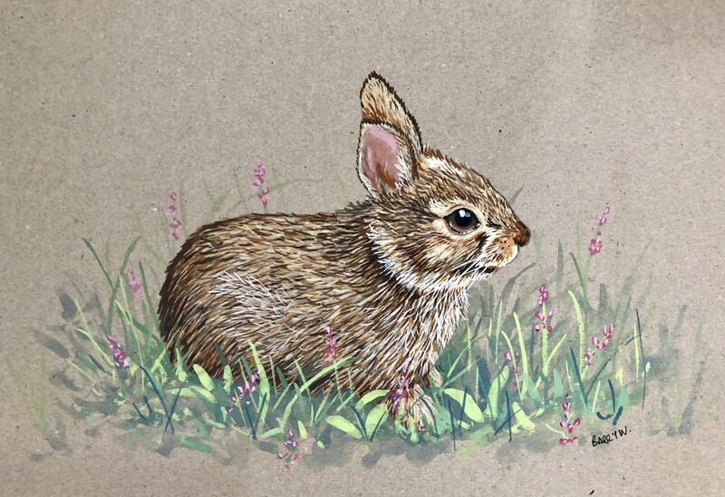 Baby Rabbit in Gouache