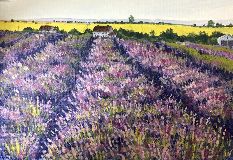 Lavender Fields in Acrylics