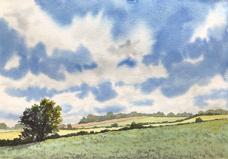 Painting the Seasons in Watercolour: Summer