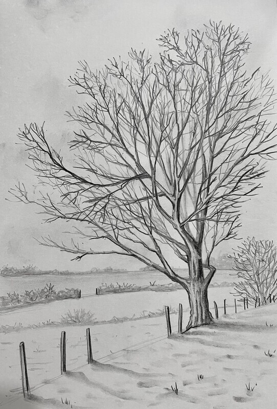 Wintry Tree Practice in Pencil
