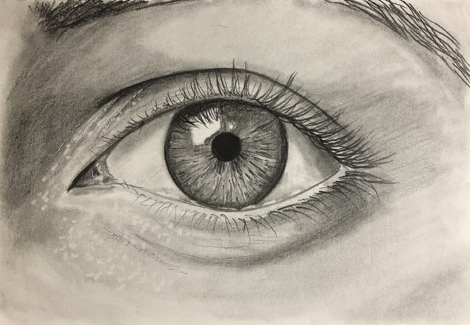 Drawing a Human Eye