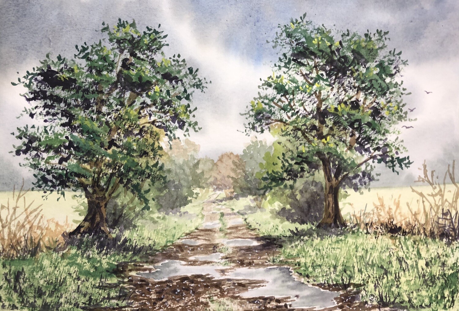 Painting Puddles in Watercolour