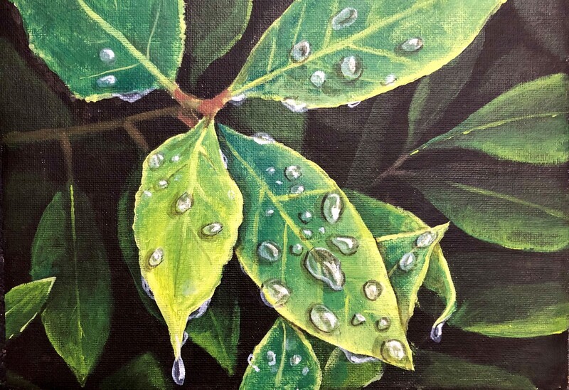 Water Droplets on a Leaf in Acrylics