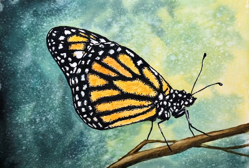 Vibrant Orange Butterfly in Watercolour