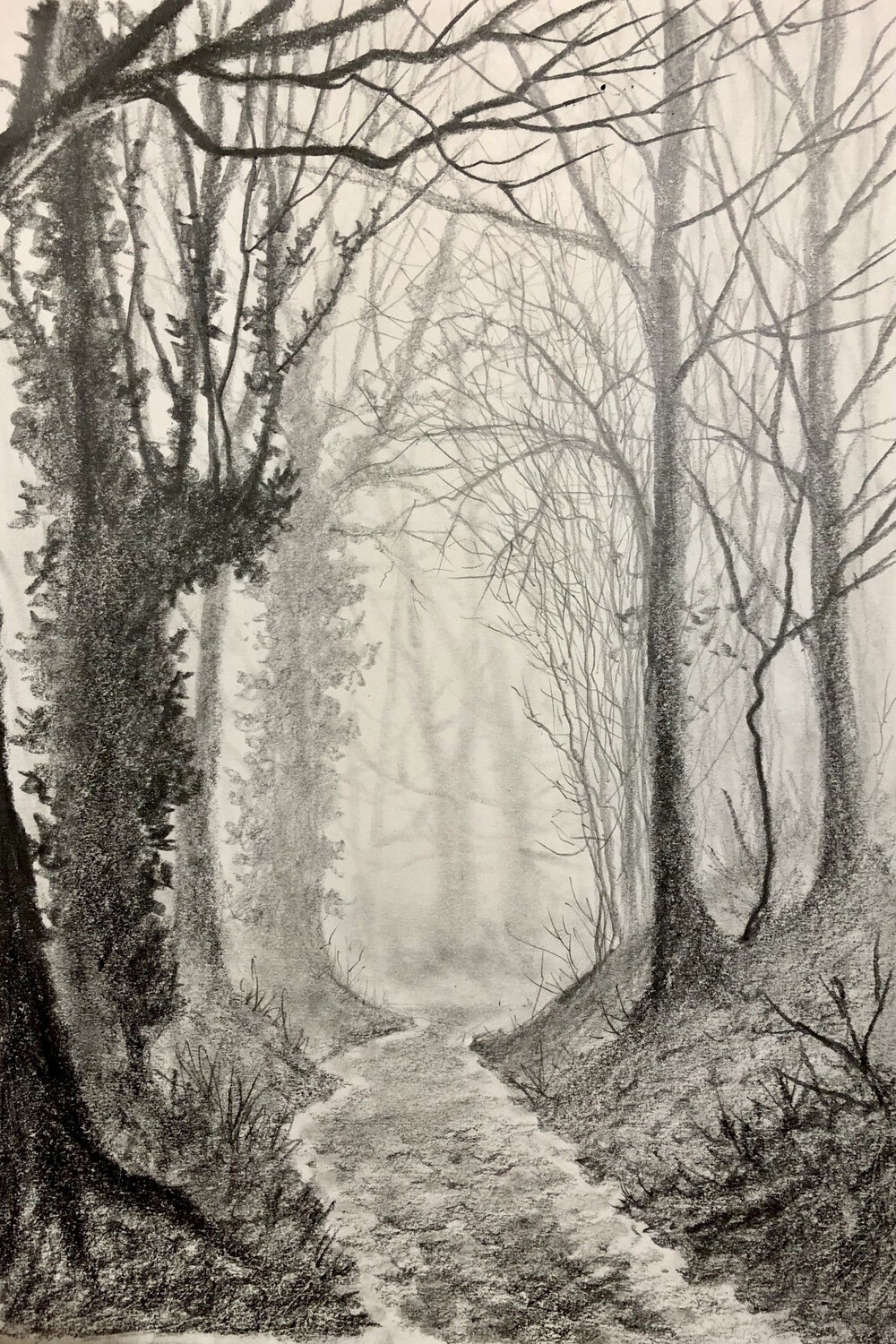Eerie Forest in Pencil