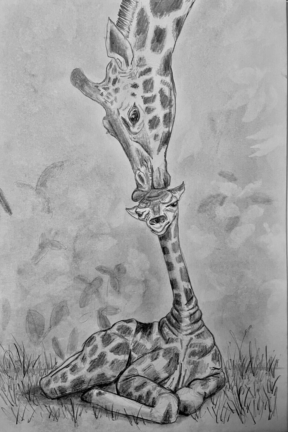 Giraffe Kissing its Baby on the Head in Pencil