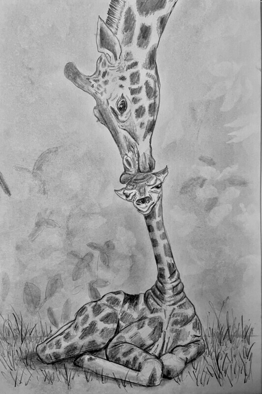 Giraffe Kissing its Baby on the Head in Pencil