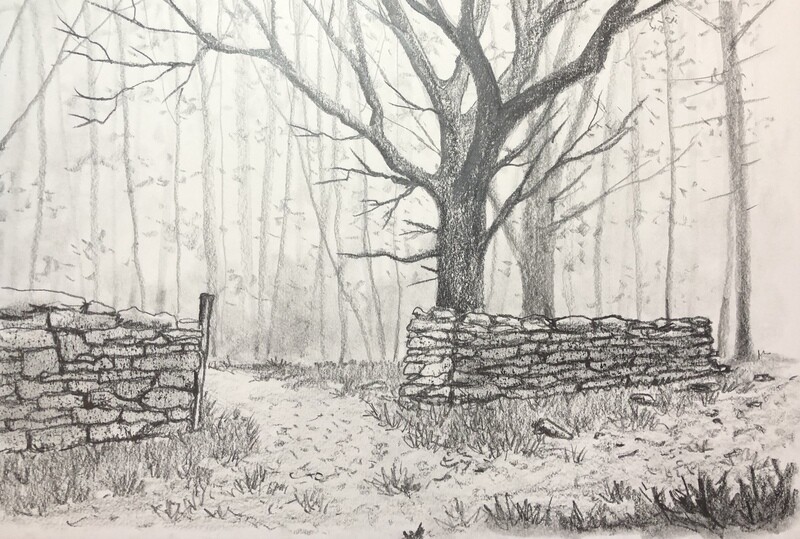 Old Wall with a Gate in a Forest in Pencil