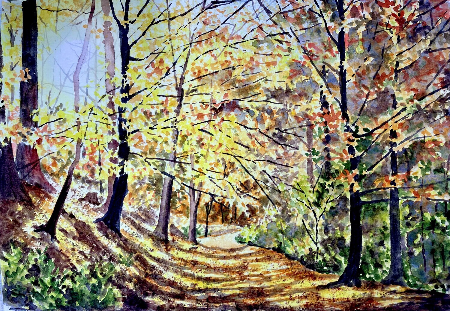 Autumn Wood in Sunshine and Shadows in Watercolour