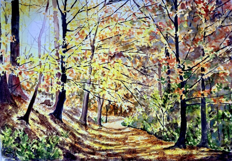 Autumn Wood in Sunshine and Shadows in Watercolour
