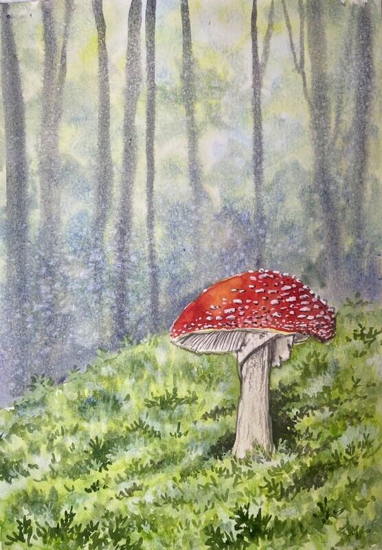 Fly Agaric Toadstool in Watercolour