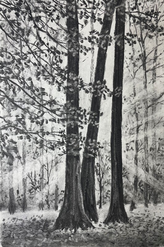 Autumn Wood with Rays of Light in Charcoal
