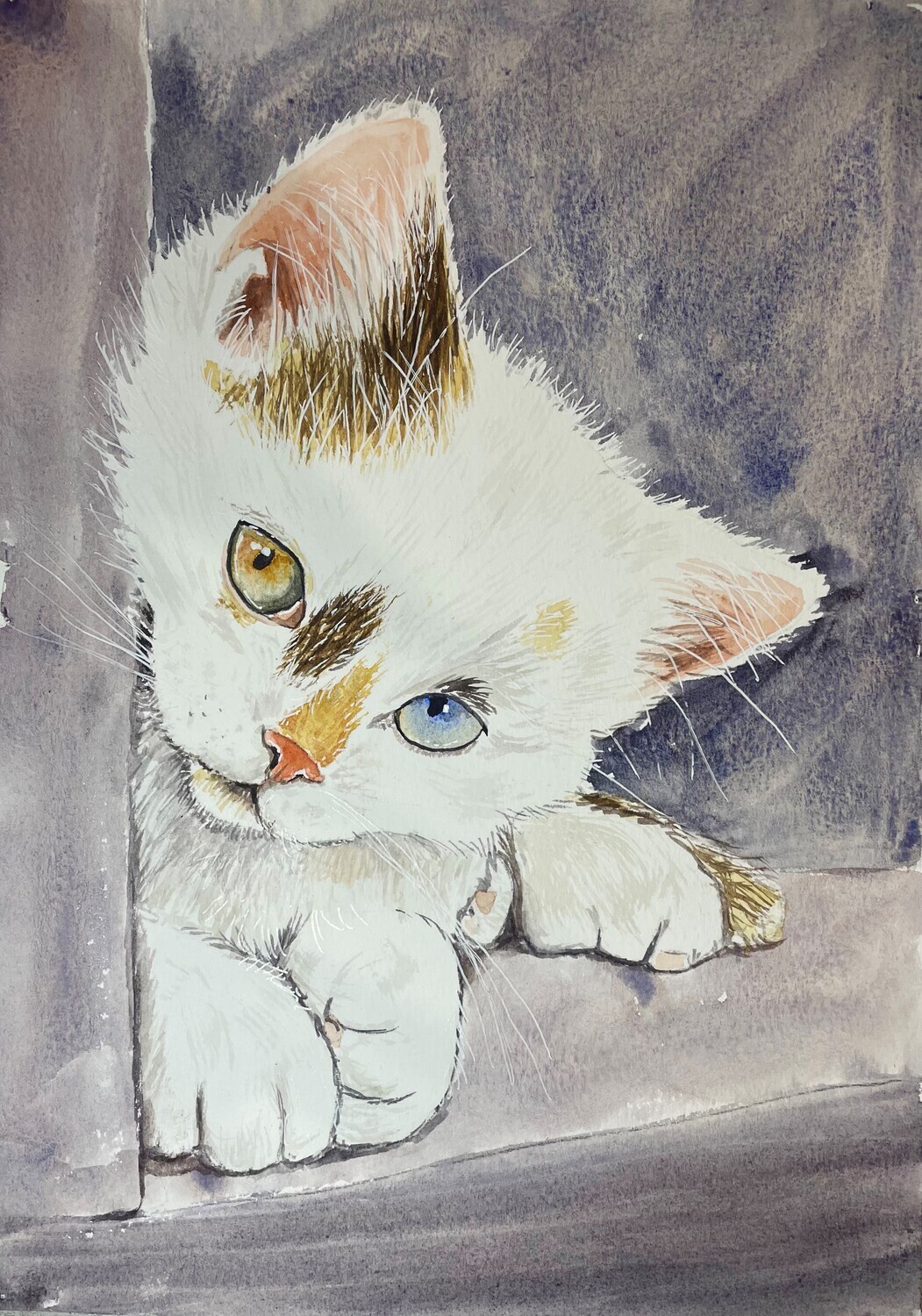 White Kitten in Watercolour