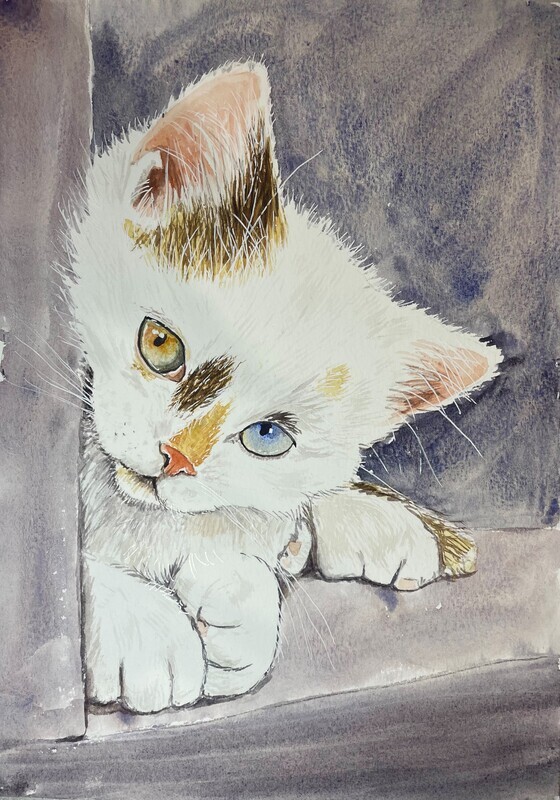 White Kitten in Watercolour