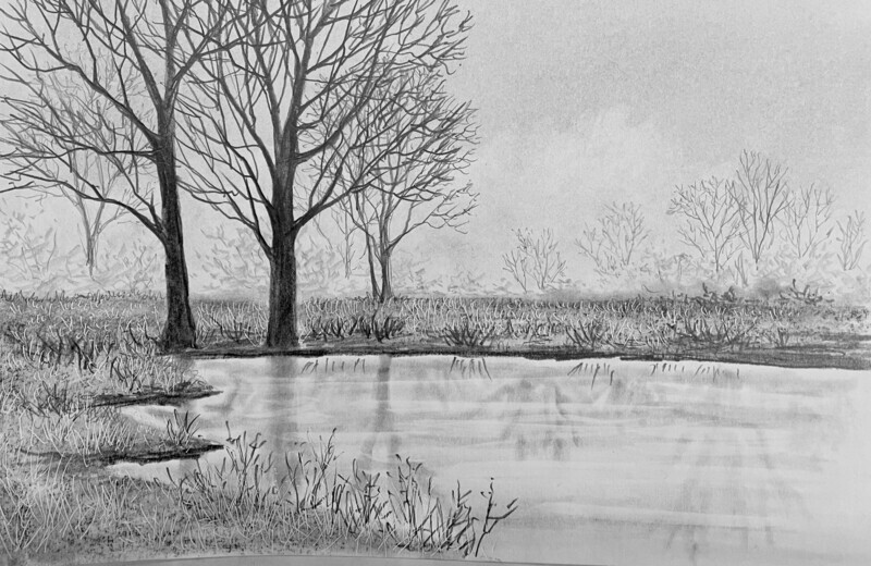 Frosty Lakeside in Pencil