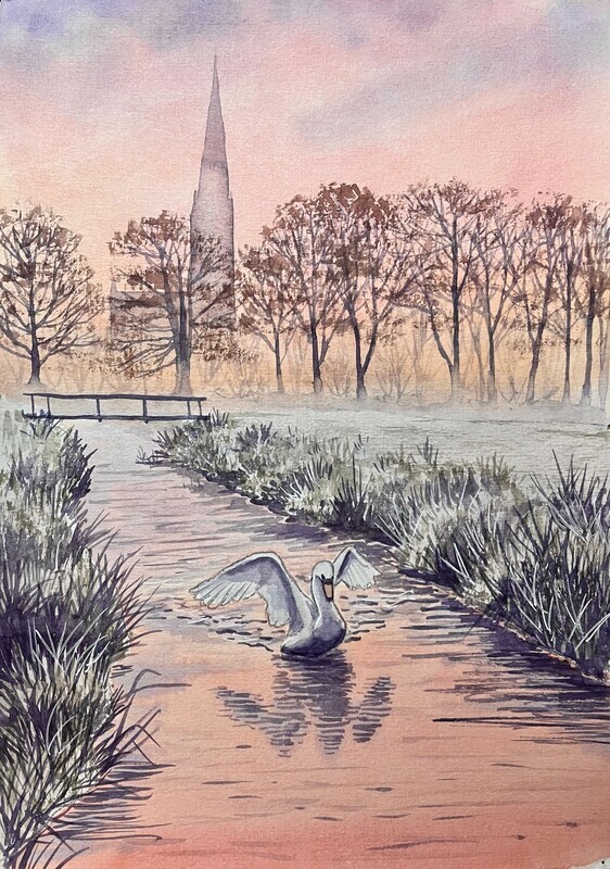 Swan Landing on a River with a Distant Church at Sunset in Watercolour
