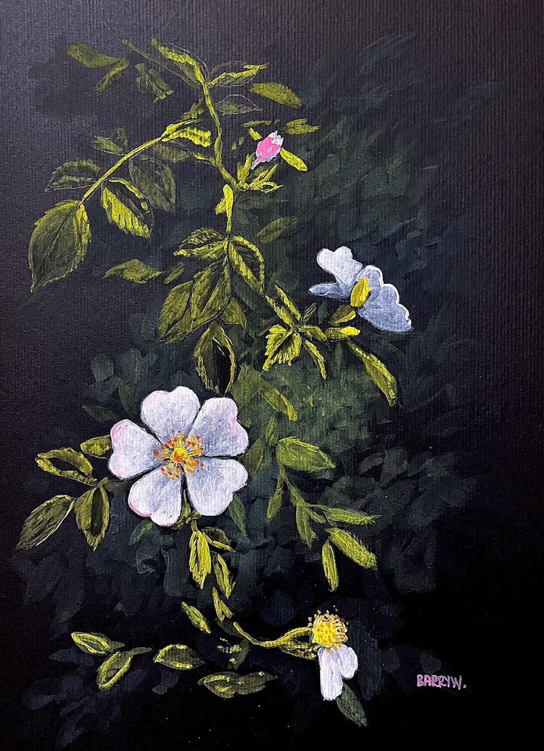Blossom on a Dark Background in Gouache