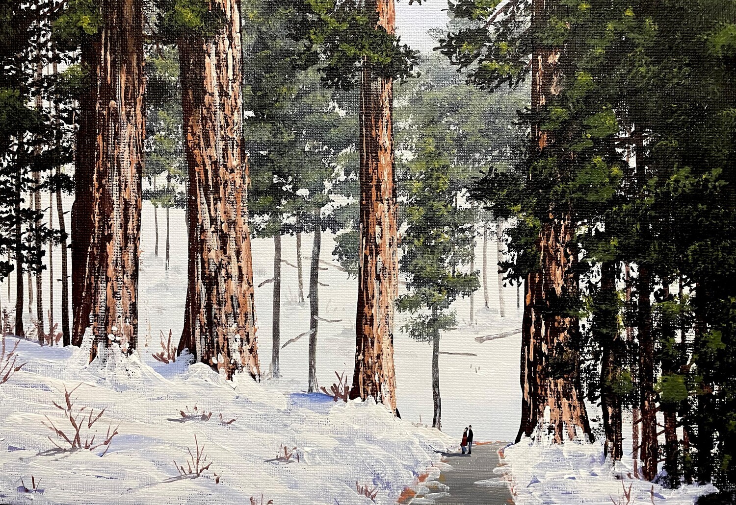 Giant Redwoods in the Snow in Acrylics