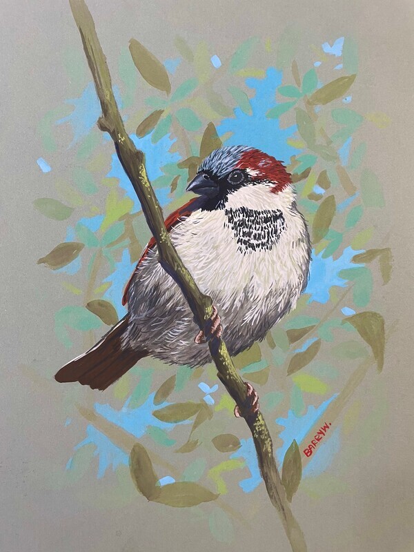 Sparrow on a Mossy Twig in Gouache