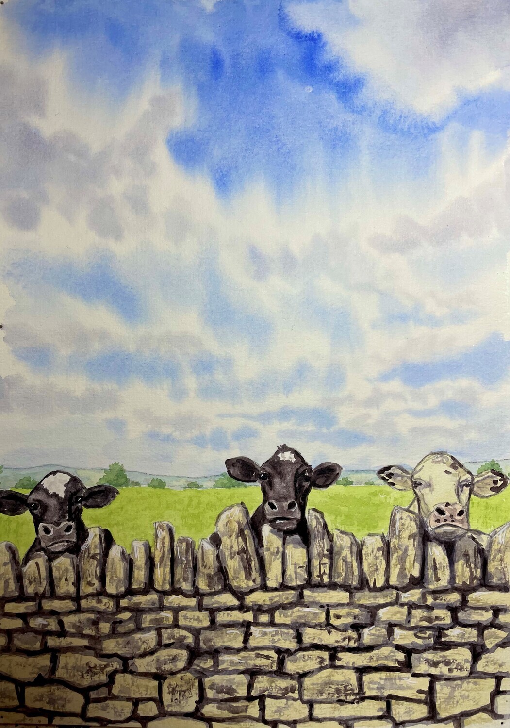 Cows Peering Over a Wall in Watercolour