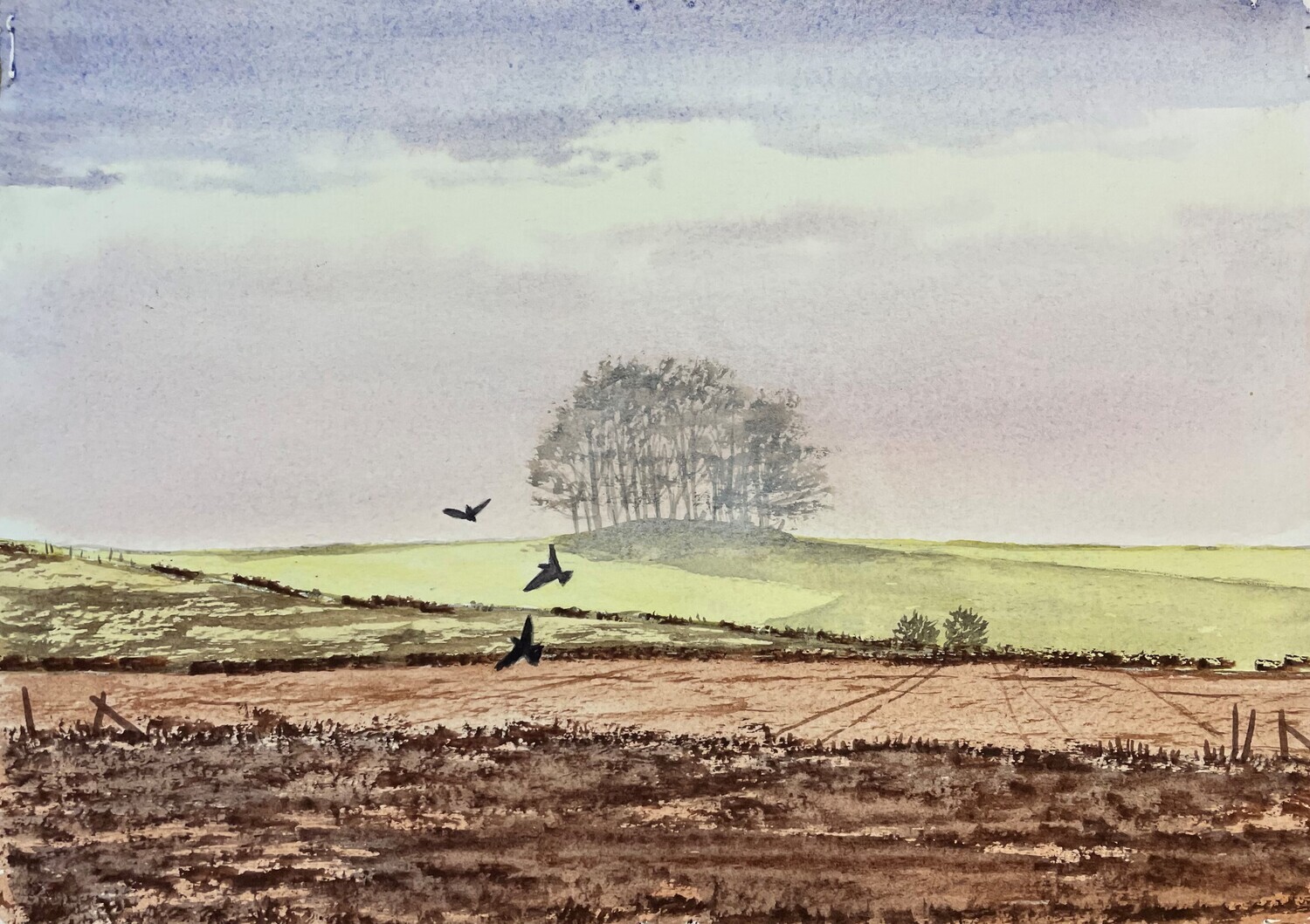 Panoramic Fields in Watercolour