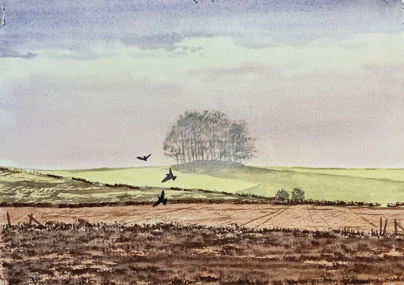 Panoramic Fields in Watercolour