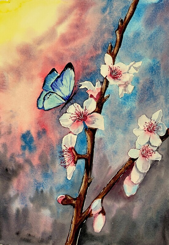 Blue Butterfly on Pink Blossom in Watercolour