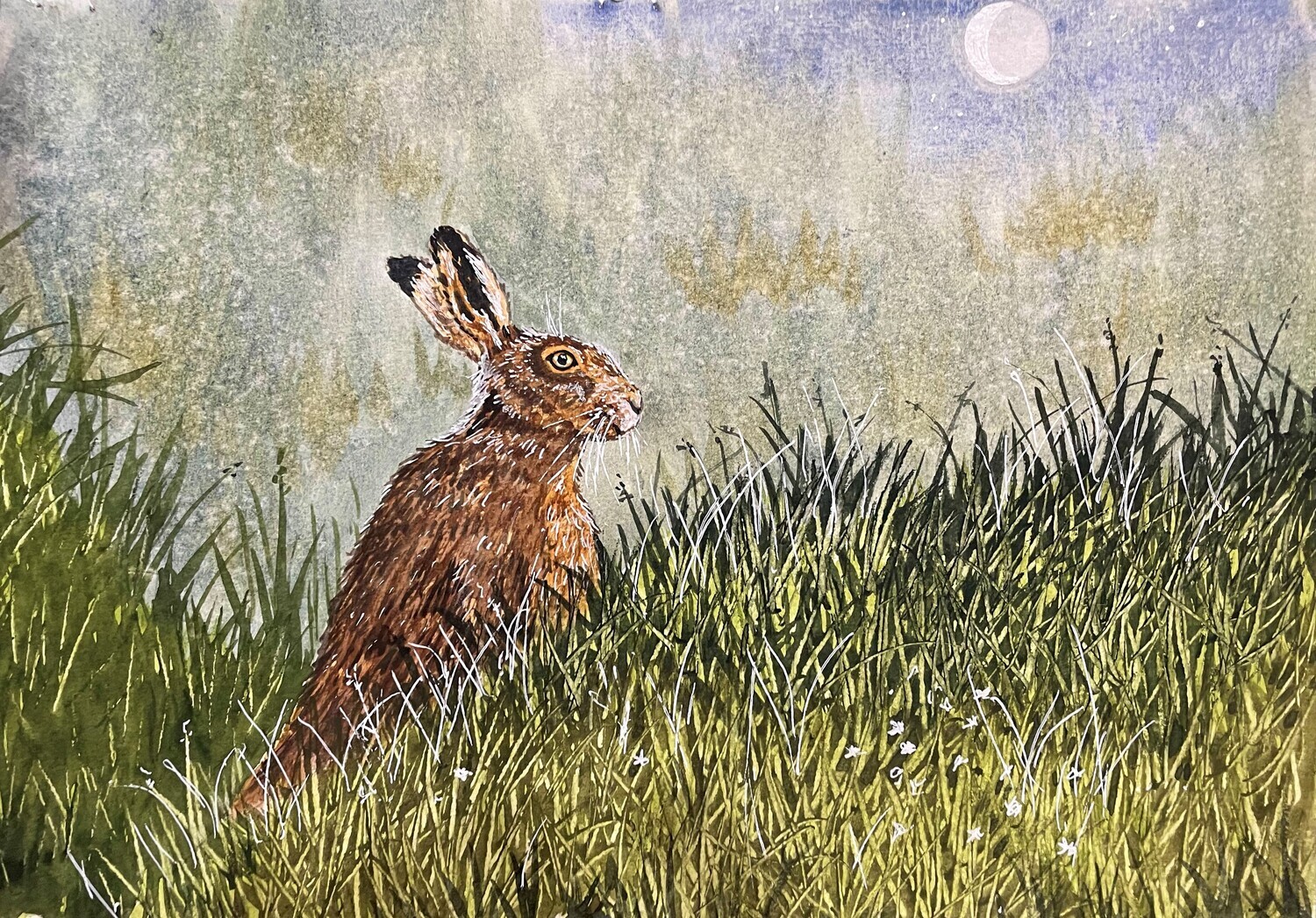 Hare by Night in Watercolour